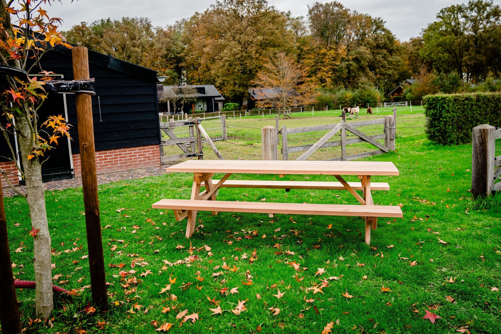 Landelijke Douglas picknicktafel 250cm
